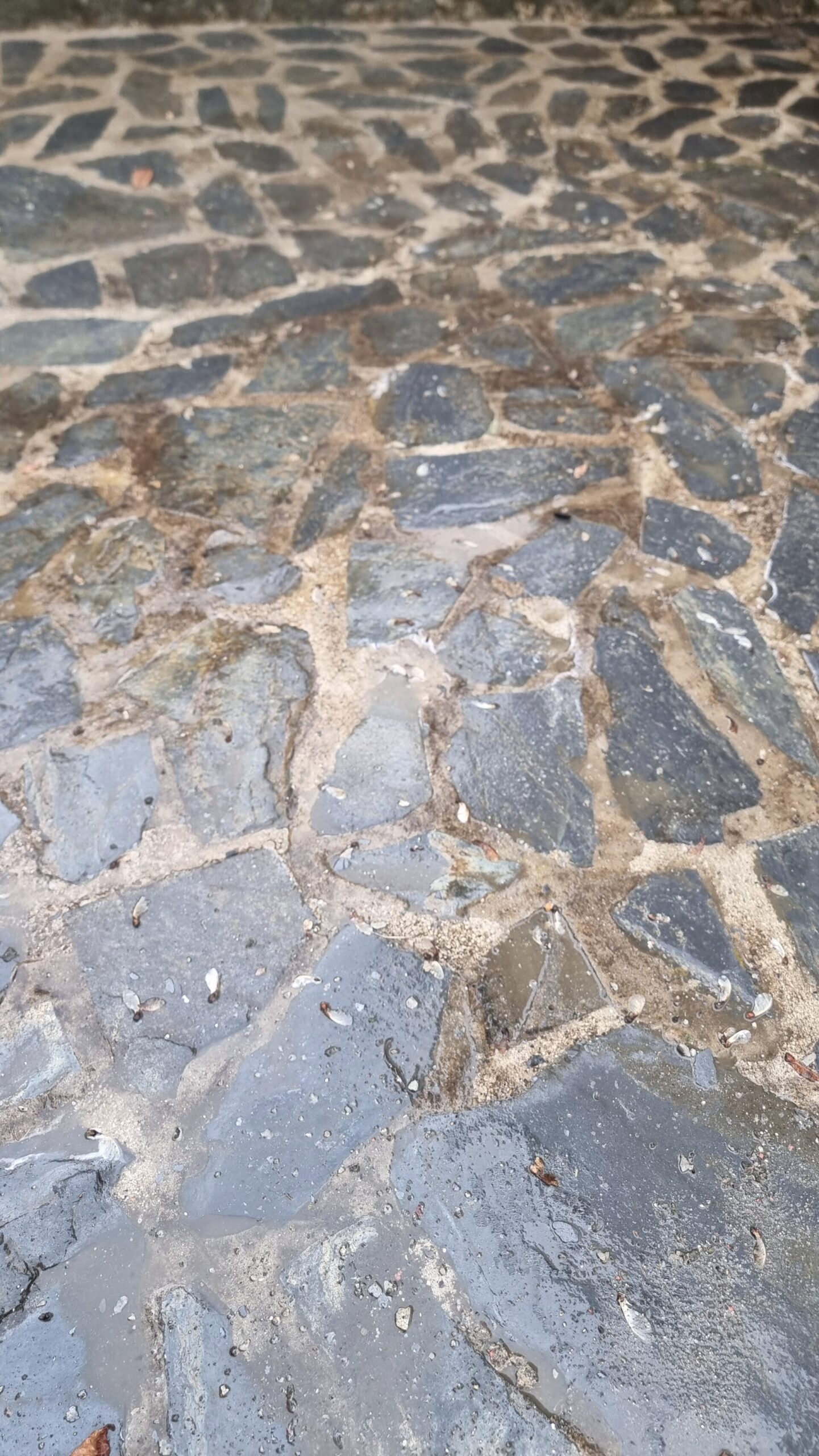 Toiture avant renovation - Couverture Service Adolphe Aubervilliers